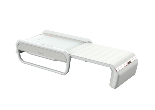 Ceragem V6 Massage Bed