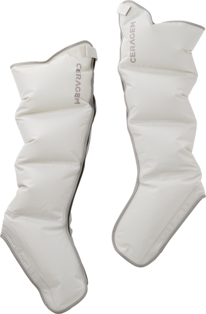 Ceragem V7 Massage Bed